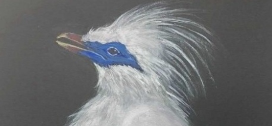 Royal Society of Biology's Annual 2D Art competition